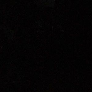 Meet your Posher, Steve